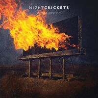 Night Crickets - A Free Society vinyl cover