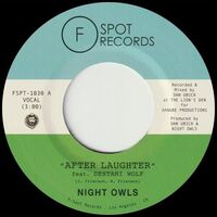 Night Owls - After Laughter vinyl cover