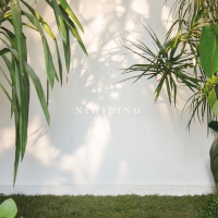 Nihiling - Batteri vinyl cover