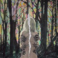 Niights - Hellebores vinyl cover