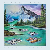 Niklas Wandt - Solar Musli vinyl cover