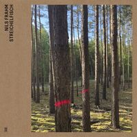 Nils Frahm - Streichelfisch vinyl cover