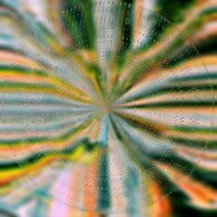 Nils Hoffmann - Everlight vinyl cover