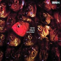 Nine Days Wonder - Nine Days Wonder vinyl cover