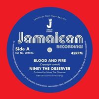 Niney The Observer - Blood And Fire/Brimstone And Fire vinyl cover