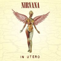 Nirvana - In Utero vinyl cover