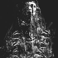 No/Más - No Peace (Blood Soaked Transparent Orange & Black Marbled) vinyl cover
