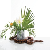 Noah Gundersen - White Noise vinyl cover