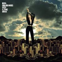 Noel Gallagher's High Flying Birds - Blue Moon Rising vinyl cover