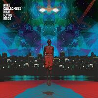 Noel Gallagher's High Flying Birds - This Is The Place vinyl cover