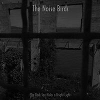 Noise Birds - The Dark Sea Hides A Bright Light vinyl cover