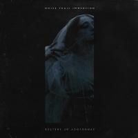 Noise Trail Immersion - Symbology Of Shelter vinyl cover