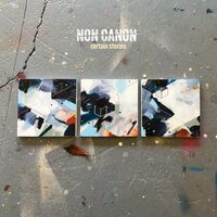 Non Canon - Certain Stories vinyl cover