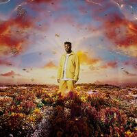 Nonso Amadi - When It Blooms vinyl cover