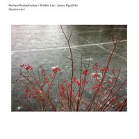 Norbert / Lee, Robbie Rodenkirchen - Opalescence vinyl cover