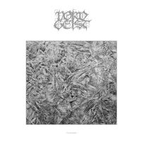Nordgeist - Frostwinter (White vinyl) vinyl cover