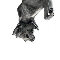 Nordvargr - Metempsychosis vinyl cover