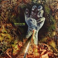 Northless - A Path Beyond Grief (Explicit Lyrics) vinyl cover