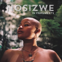 Nosizwe - In Fragments vinyl cover