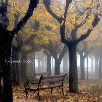 Nosound - Sol29 vinyl cover
