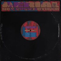 Not Even Noticed - Aerial vinyl cover