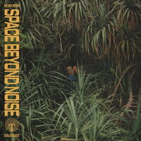 Not Even Noticed - Space Beyond Noise vinyl cover