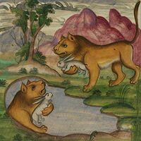 Not Waving & Dark Mark - Downwelling vinyl cover