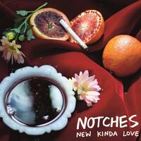 Notches - New Kinda Love vinyl cover