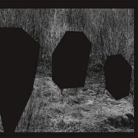 Noun (Daniel Avery ) (Roman Flugel) - Meeting Of The Minds vinyl cover
