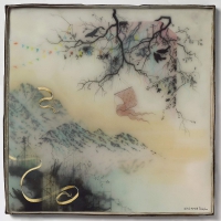 Novo Amor - Birthplace vinyl cover