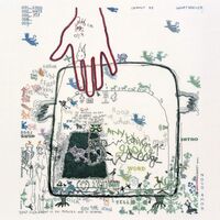 Novo Amor - Cannot Be, Whatsoever vinyl cover