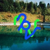 Npvr - 33 33 vinyl cover