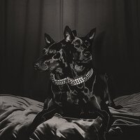 Nto & Sofiane Pamart - Forever Friends vinyl cover