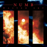 Numb - Wasted Sky vinyl cover