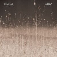 Numinos - Grains vinyl cover