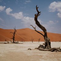 Nyos - Growl vinyl cover