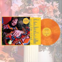 NYSSA - Shake Me Where I'm Foolish vinyl cover