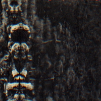 O Morto - Forest People & Spirits vinyl cover