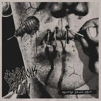 Obnoxious Youth - Mouths Sewn Shut vinyl cover