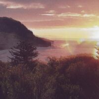 Ocean Party - Beauty Spot vinyl cover