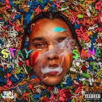Ocean Wisdom - Stay Sane vinyl cover