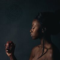 Oceans Of Slumber - The Banished Heart vinyl cover