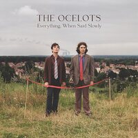 Ocelots - Everything, When Said Slowly vinyl cover