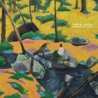 Octo Octa - Resonant Body vinyl cover