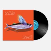 Odds - Nest vinyl cover