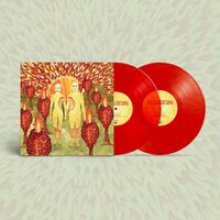 Of Montreal - The Sunlandic Twins vinyl cover