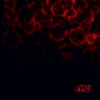 Office Of Strategic Influence - Blood vinyl cover