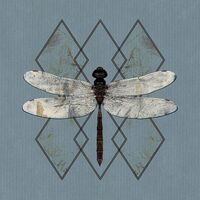 Ohhms - Close vinyl cover