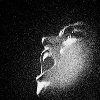 Oiseaux-Tempete - Al-An vinyl cover