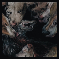 Okkultokrati - Night Jerks vinyl cover